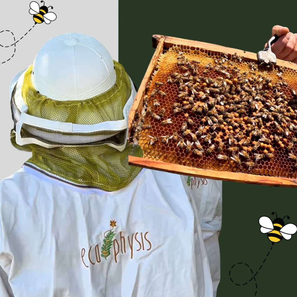 Ανακάλυψε το Ecophysis – Ένα ταξίδι στο «Βασίλειο των μελισσών»
