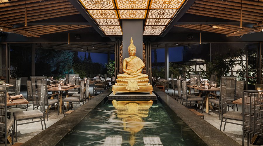 Golden Monkey Thai Restaurant: Αυθεντική Ταϊλανδέζικη Κουζίνα στη Λεμεσσό