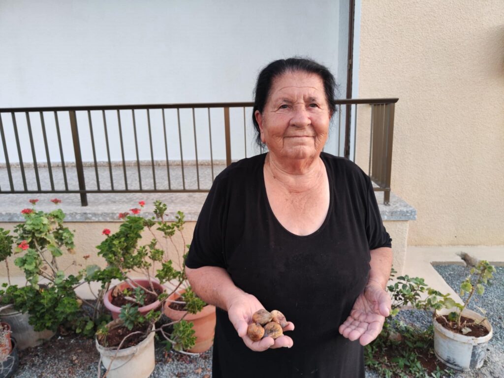 Ιστορίες της Γειτονιάς: Η γιαγιά Κικκού και τα παστόσυκά της