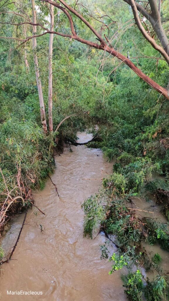 Η μαγεία της φύσης στον Πεδιαίο