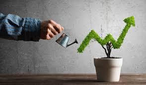 Πώς οι Κύπριοι νέοι χρησιμοποιούν τα social media για να δημιουργήσουν επιχειρήσεις.