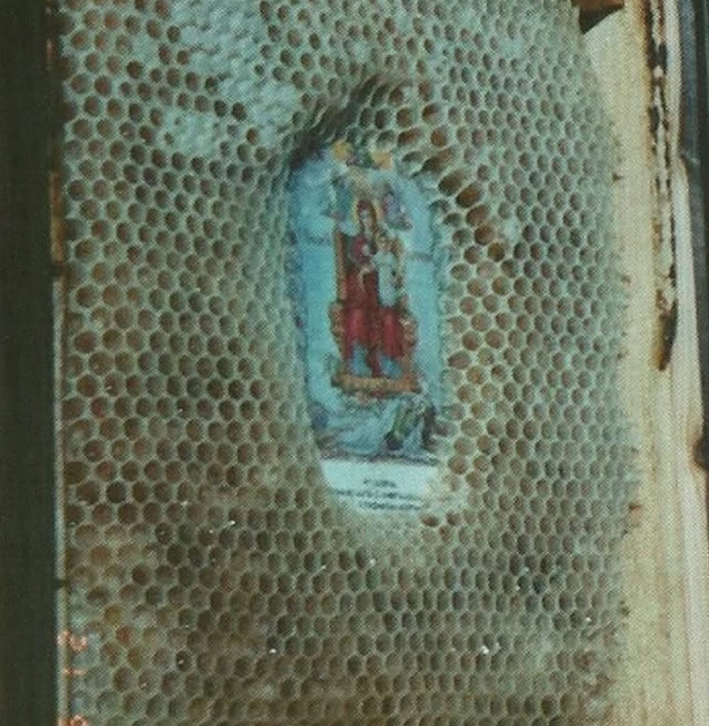 Αληθινό θαύμα ή επιστήμη; Δείτε τι κάνουν οι μέλισσες όταν βρουν αγιογραφίες