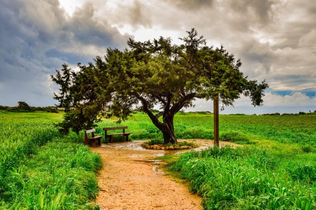 Ο «Μοναχικός Αόρατος» του Κάβο Γκρέκο: Εκεί όπου η σιωπή παίρνει μορφή