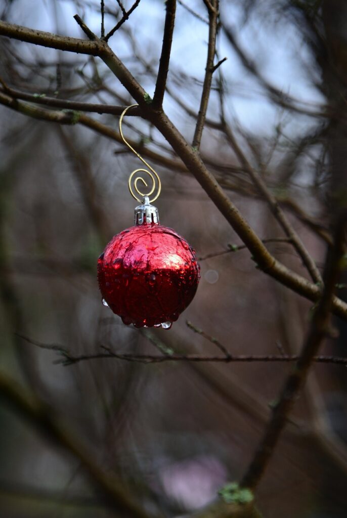 Χριστούγεννα στην καρδιά του Αγίου Δομετίου