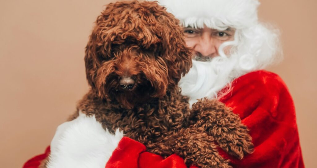 Xmas Santa Paws στην Πλατεία Ελευθερίας: Δύο μέρες αφιερωμένες στα παιδιά και τους τετράποδους φίλους μας