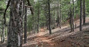 Atalanti Nature Trail: &Omicron;&rho;&epsilon;&iota;&nu;ή &Pi;&epsilon;&rho;&iota;&pi;έ&tau;&epsilon;&iota;&alpha; &sigma;&tau;&omicron;&nu; &Tau;&rho;ό&omicron;&delta;&omicron;&sigmaf;