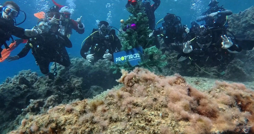 Έ&nu;&alpha; &Chi;&rho;&iota;&sigma;&tau;&omicron;&upsilon;&gamma;&epsilon;&nu;&nu;&iota;ά&tau;&iota;&kappa;&omicron; &Delta;έ&nu;&tau;&rho;&omicron; &sigma;&tau;&omicron;&nu;&hellip; &beta;&upsilon;&theta;ό &tau;&omicron;&upsilon; &Pi;&rho;&omega;&tau;&alpha;&rho;ά