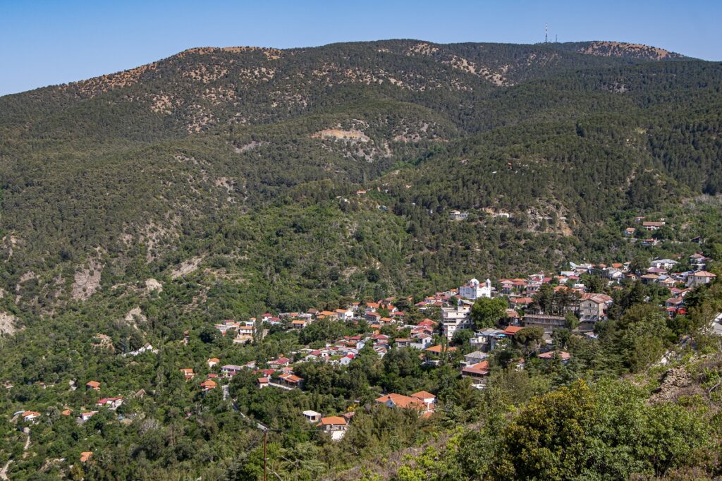 Τα βουνά της Κύπρου ως ζωντανός θησαυρός: Έκκληση για προστασία από το Τμήμα Δασών
