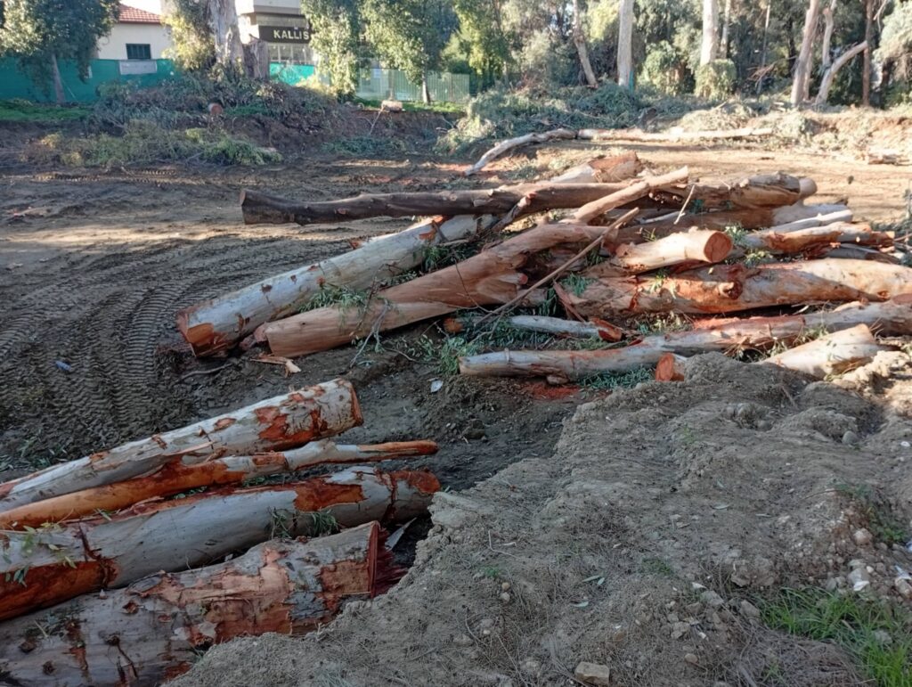 &Omicron;&iota; &pi;&rho;ά&sigma;&iota;&nu;&omicron;&iota; &pi;&nu;&epsilon;ύ&mu;&omicron;&nu;&epsilon;&sigmaf; &tau;&omega;&nu; &Alpha;&gamma;ί&omega;&nu; &Omicron;&mu;&omicron;&lambda;&omicron;&gamma;&eta;&tau;ώ&nu; &theta;&upsilon;&sigma;&iota;ά&zeta;&omicron;&nu;&tau;&alpha;&iota; &gamma;&iota;&alpha; &nu;έ&alpha; &pi;&omicron;&lambda;&upsilon;&kappa;&alpha;&tau;&omicron;&iota;&kappa;ί&alpha;-(&Phi;ώ&tau;&omicron;)