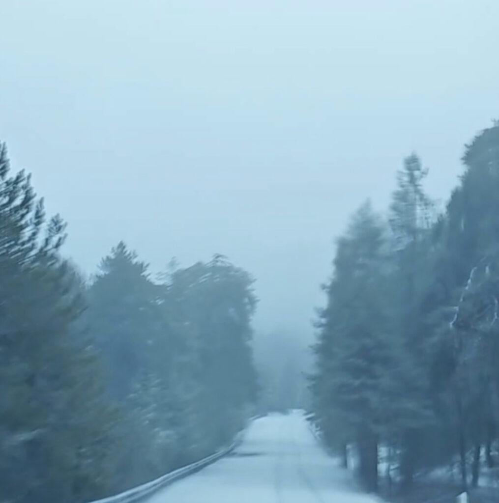 &Tau;&omicron; &Tau;&rho;ό&omicron;&delta;&omicron;&sigmaf; &nu;&tau;ύ&nu;&epsilon;&tau;&alpha;&iota; &sigma;&tau;&alpha; &lambda;&epsilon;&upsilon;&kappa;ά: &Chi;&iota;ό&nu;&iota;&alpha; &kappa;&alpha;&iota; &theta;&upsilon;&epsilon;&lambda;&lambda;ώ&delta;&epsilon;&iota;&sigmaf; ά&nu;&epsilon;&mu;&omicron;&iota;!