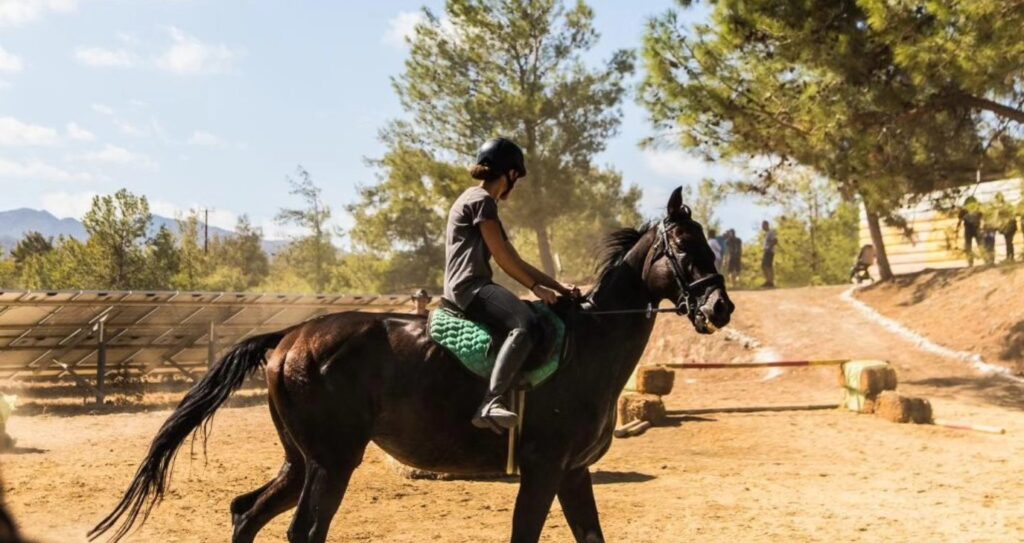 &Pi;ά&mu;&epsilon; &gamma;&iota;&alpha; &mu;&alpha;&theta;ή&mu;&alpha;&tau;&alpha; &iota;&pi;&pi;&alpha;&sigma;ί&alpha;&sigmaf; &sigma;&tau;&eta;&nu; &kappa;&alpha;&tau;&alpha;&pi;&rho;ά&sigma;&iota;&nu;&eta; &phi;ά&rho;&mu;&alpha; Riverland