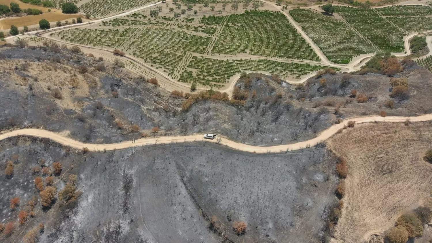 Στο στόχαστρο το Τμήμα Δασών: Διπλασιασμός μίσθωσης γης χωρίς εξηγήσεις και €1,3 εκατ. ανείσπρακτα έσοδα Στο στόχαστρο το Τμήμα Δασών: Διπλασιασμός μίσθωσης γης χωρίς εξηγήσεις και €1,3 εκατ. ανείσπρακτα έσοδα