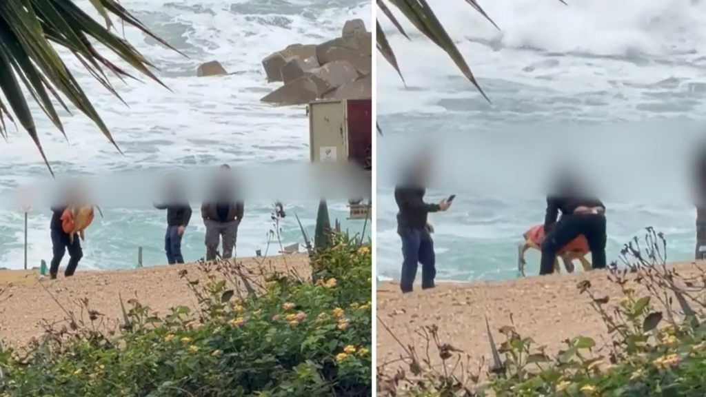 &Sigma;&upsilon;&nu;&epsilon;&lambda;ή&phi;&theta;&eta;&sigma;&alpha;&nu; &omicron;&iota; &upsilon;&pi;ά&lambda;&lambda;&eta;&lambda;&omicron;&iota; &pi;&omicron;&upsilon; &kappa;&lambda;&omega;&tau;&sigma;&omicron;ύ&sigma;&alpha;&nu; &kappa;&alpha;&iota; &pi;&epsilon;&tau;&omicron;ύ&sigma;&alpha;&nu; &tau;&eta;&nu; &theta;&alpha;&lambda;ά&sigma;&sigma;&iota;&alpha; &chi;&epsilon;&lambda;ώ&nu;&alpha;