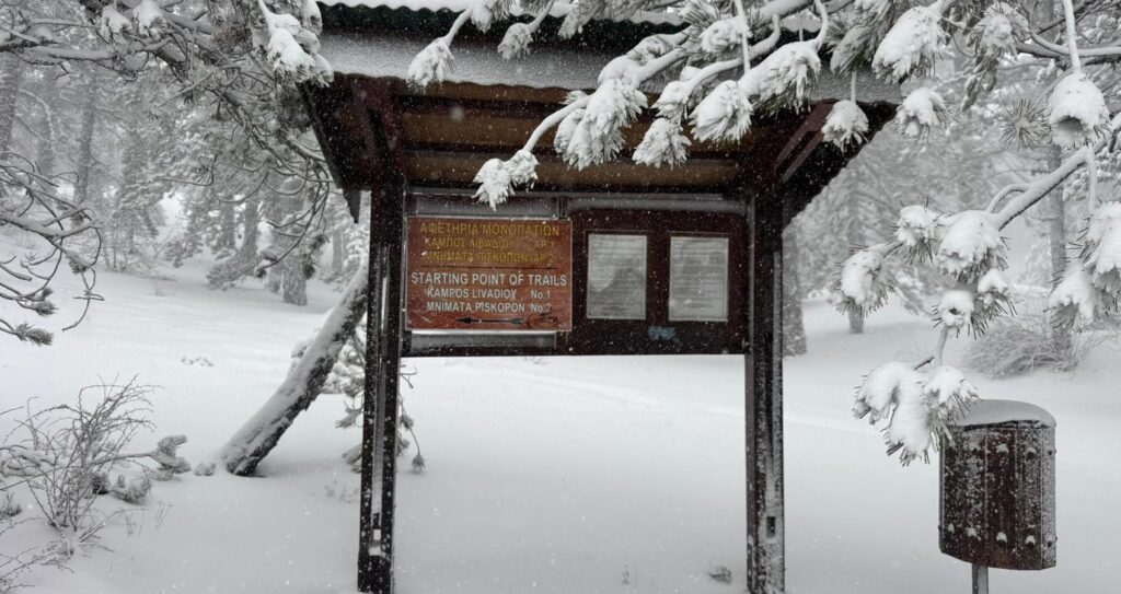 &Kappa;&lambda;&epsilon;&iota;&sigma;&tau;ά 15 &Mu;&omicron;&nu;&omicron;&pi;ά&tau;&iota;&alpha; &Mu;&epsilon;&lambda;έ&tau;&eta;&sigmaf; &tau;&eta;&sigmaf; &Phi;ύ&sigma;&eta;&sigmaf; &sigma;&tau;&omicron; &Tau;&rho;ό&omicron;&delta;&omicron;&sigmaf; &ndash; &Tau;&iota; &pi;&rho;έ&pi;&epsilon;&iota; &nu;&alpha; &gamma;&nu;&omega;&rho;ί&zeta;&epsilon;&iota; &tau;&omicron; &kappa;&omicron;&iota;&nu;ό