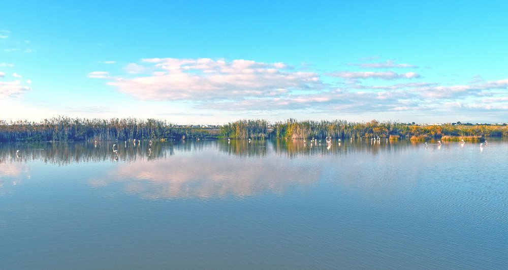 &Gamma;&iota;&omicron;&rho;&tau;ά&zeta;&omicron;&upsilon;&mu;&epsilon; &tau;&eta;&nu; &Pi;&alpha;&gamma;&kappa;ό&sigma;&mu;&iota;&alpha; &Eta;&mu;έ&rho;&alpha; &Upsilon;&gamma;&rho;&omicron;&tau;ό&pi;&omega;&nu; &sigma;&tau;&eta; &Lambda;ί&mu;&nu;&eta; &Pi;&alpha;&rho;&alpha;&lambda;&iota;&mu;&nu;ί&omicron;&upsilon;