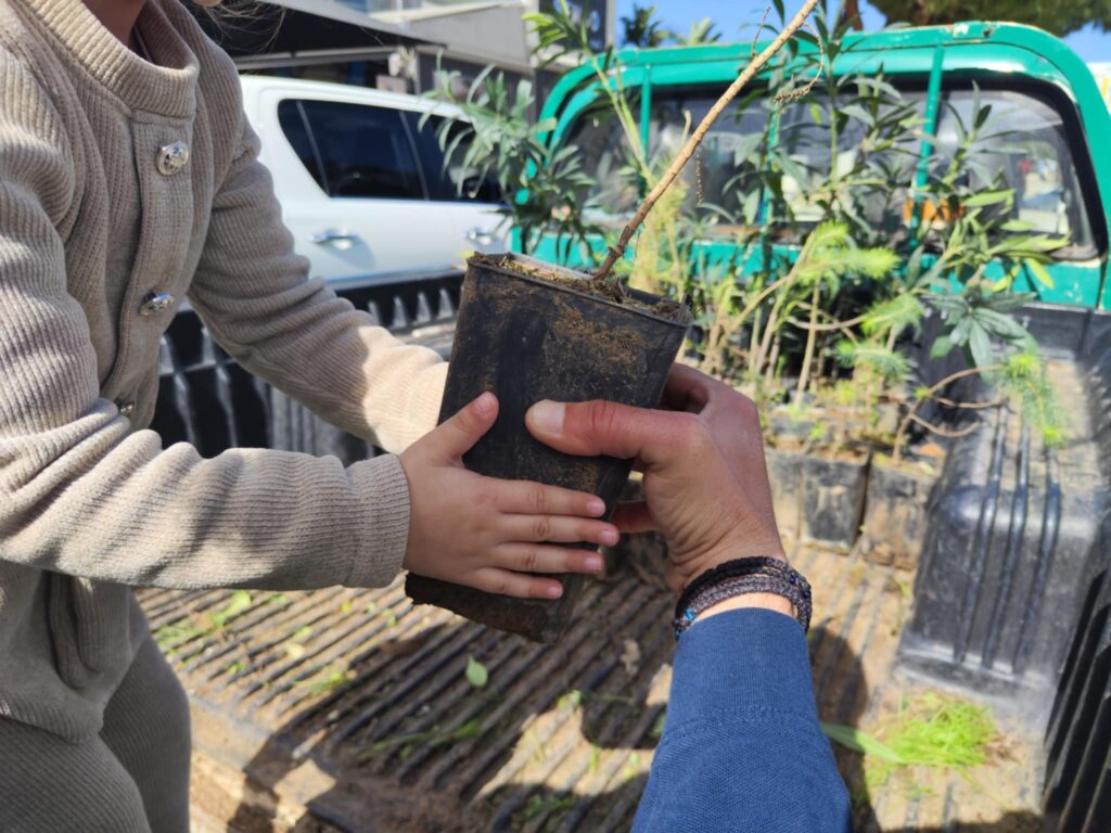 &Pi;&alpha;&rho;ό&nu;&tau;&epsilon;&sigmaf; &sigma;&tau;&omicron; &laquo;&Phi;&upsilon;&tau;&epsilon;ύ&omega; &gamma;&iota;&alpha; &tau;&omicron; &Kappa;&lambda;ί&mu;&alpha;&raquo; &ndash; &mu;&iota;&alpha; &omicron;&upsilon;&sigma;&iota;&alpha;&sigma;&tau;&iota;&kappa;ή &kappa;&alpha;&iota; &epsilon;&lambda;&pi;&iota;&delta;&omicron;&phi;ό&rho;&alpha; &delta;&rho;ά&sigma;&eta; &tau;&omicron;&upsilon; &Tau;&mu;ή&mu;&alpha;&tau;&omicron;&sigmaf; &Delta;&alpha;&sigma;ώ&nu;