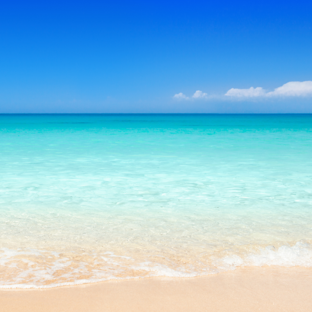 &Tau;&omicron; Fig Tree Bay &sigma;&tau;&omicron;&nu; &Pi;&rho;&omega;&tau;&alpha;&rho;ά &alpha;&nu;ά&mu;&epsilon;&sigma;&alpha; &sigma;&tau;&iota;&sigmaf; &kappa;&omicron;&rho;&upsilon;&phi;&alpha;ί&epsilon;&sigmaf; &pi;&alpha;&rho;&alpha;&lambda;ί&epsilon;&sigmaf; &tau;&eta;&sigmaf; &Epsilon;&upsilon;&rho;ώ&pi;&eta;&sigmaf; &gamma;&iota;&alpha; &tau;&omicron; 2026