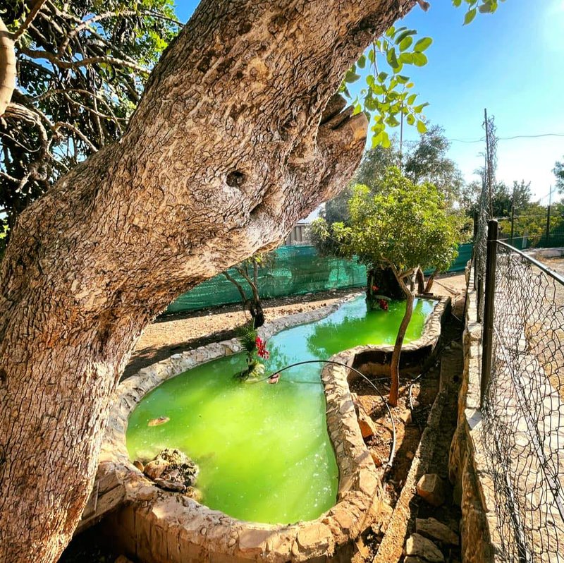&Kappa;&alpha;&theta;&alpha;&rho;ά &Delta;&epsilon;&upsilon;&tau;έ&rho;&alpha; &sigma;&tau;&omicron; &Kappa;&tau;ή&mu;&alpha; Ά&gamma;&iota;&omicron;&sigmaf; &Epsilon;&upsilon;&sigma;&tau;ά&theta;&iota;&omicron;&sigmaf;
