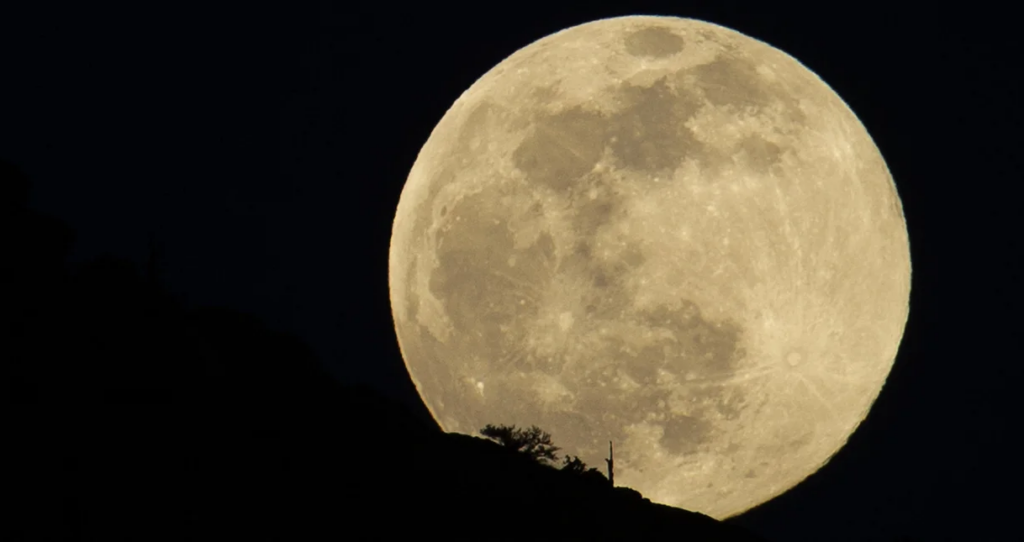 Ή&xi;&epsilon;&rho;&epsilon;&sigmaf; ό&tau;&iota; &eta; &laquo;&Pi;&alpha;&nu;&sigma;έ&lambda;&eta;&nu;&omicron;&sigmaf; &tau;&omicron;&upsilon; &Chi;&iota;&omicron;&nu;&iota;&omicron;ύ&raquo; &kappa;&omicron;&rho;&upsilon;&phi;ώ&theta;&eta;&kappa;&epsilon; &tau;&eta;&nu; 1&eta; &Phi;&epsilon;&beta;&rho;&omicron;&upsilon;&alpha;&rho;ί&omicron;&upsilon;; &Gamma;&iota;&alpha;&tau;ί &lambda;έ&gamma;&epsilon;&tau;&alpha;&iota; έ&tau;&sigma;&iota; &kappa;&alpha;&iota; &pi;&omicron;&iota;&alpha; &zeta;ώ&delta;&iota;&alpha; &epsilon;&pi;&eta;&rho;&epsilon;ά&zeta;&epsilon;&iota;