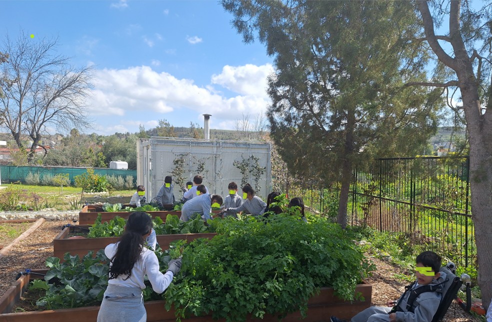 Ό&tau;&alpha;&nu; &eta; &alpha;&upsilon;&lambda;ή &gamma;ί&nu;&epsilon;&tau;&alpha;&iota; &tau;ά&xi;&eta;: &Pi;ώ&sigmaf; &omicron;&iota; &pi;&rho;ά&sigma;&iota;&nu;&omicron;&iota; &chi;ώ&rho;&omicron;&iota; &mu;ά&theta;&eta;&sigma;&eta;&sigmaf; &alpha;&lambda;&lambda;ά&zeta;&omicron;&upsilon;&nu; &tau;&omicron; &sigma;&chi;&omicron;&lambda;&epsilon;ί&omicron; &kappa;&alpha;&iota; &tau;&eta; &zeta;&omega;ή &mu;&alpha;&sigmaf;