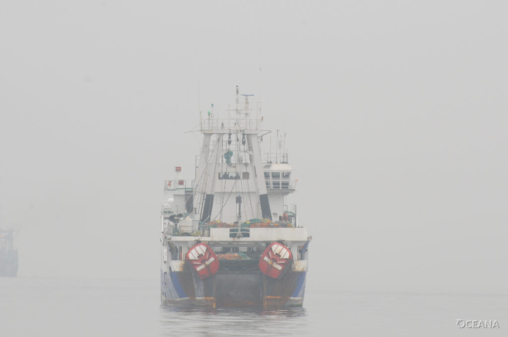 &Eta; Oceana &kappa;&alpha;&tau;&alpha;&theta;έ&tau;&epsilon;&iota; &omicron;&delta;&iota;&kappa;ό &chi;ά&rho;&tau;&eta; &gamma;&iota;&alpha; έ&nu;&alpha;&nu; &alpha;&nu;&theta;&epsilon;&kappa;&tau;&iota;&kappa;ό &kappa;&alpha;&iota; &alpha;&nu;&tau;&alpha;&gamma;&omega;&nu;&iota;&sigma;&tau;&iota;&kappa;ό &tau;&omicron;&mu;έ&alpha; &theta;&alpha;&lambda;ά&sigma;&sigma;&iota;&omega;&nu; &tau;&rho;&omicron;&phi;ί&mu;&omega;&nu; έ&omega;&sigmaf; &tau;&omicron; 2040