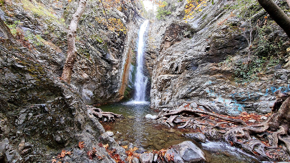 &Tau;&omicron; &Mu;&omicron;&nu;&omicron;&pi;ά&tau;&iota; &kappa;&alpha;&iota; &omicron; &Kappa;&alpha;&tau;&alpha;&rho;&rho;ά&kappa;&tau;&eta;&sigmaf; &tau;&omicron;&upsilon; &Mu;&upsilon;&lambda;&lambda;ό&mu;&epsilon;&rho;&eta;