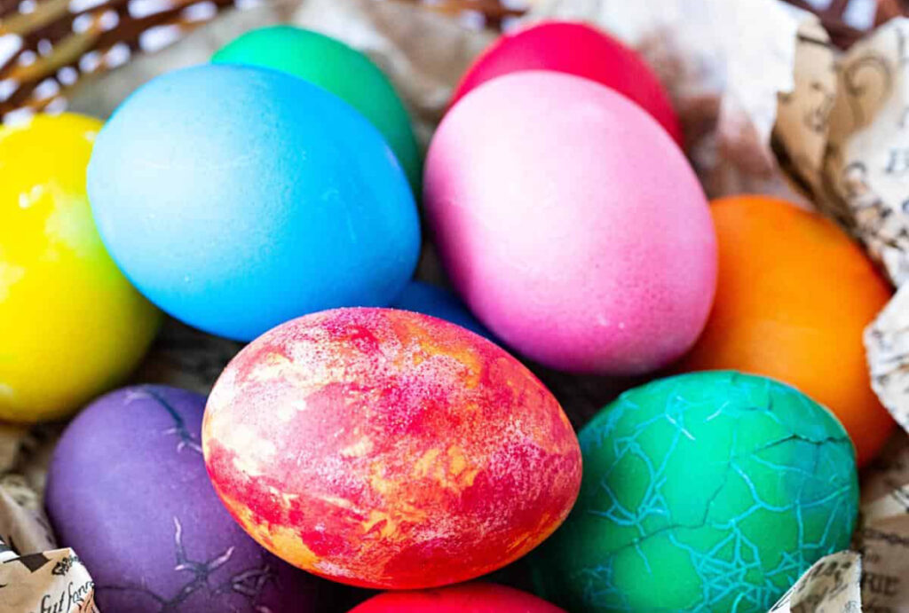 &Kappa;&upsilon;&nu;ή&gamma;&iota; &Pi;&alpha;&sigma;&chi;&alpha;&lambda;&iota;&nu;ώ&nu; &Alpha;&upsilon;&gamma;ώ&nu; &sigma;&epsilon; έ&nu;&alpha;&nu; &beta;&omicron;&tau;&alpha;&nu;&iota;&kappa;ό &kappa;ή&pi;&omicron; &tau;&eta;&sigmaf; &Kappa;ύ&pi;&rho;&omicron;&upsilon;