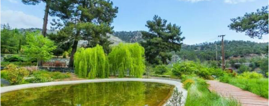 &Delta;&iota;&epsilon;&theta;&nu;ή&sigmaf; &Eta;&mu;έ&rho;&alpha; &Delta;&alpha;&sigma;ώ&nu;: &Chi;ώ&rho;&omicron;&iota; &sigma;&tau;&eta;&nu; &Kappa;ύ&pi;&rho;&omicron; &alpha;&nu;&omicron;ί&gamma;&omicron;&upsilon;&nu; &gamma;&iota;&alpha; &tau;&omicron; &kappa;&omicron;&iota;&nu;ό &mu;&epsilon; &delta;&omega;&rho;&epsilon;ά&nu; &epsilon;ί&sigma;&omicron;&delta;&omicron;