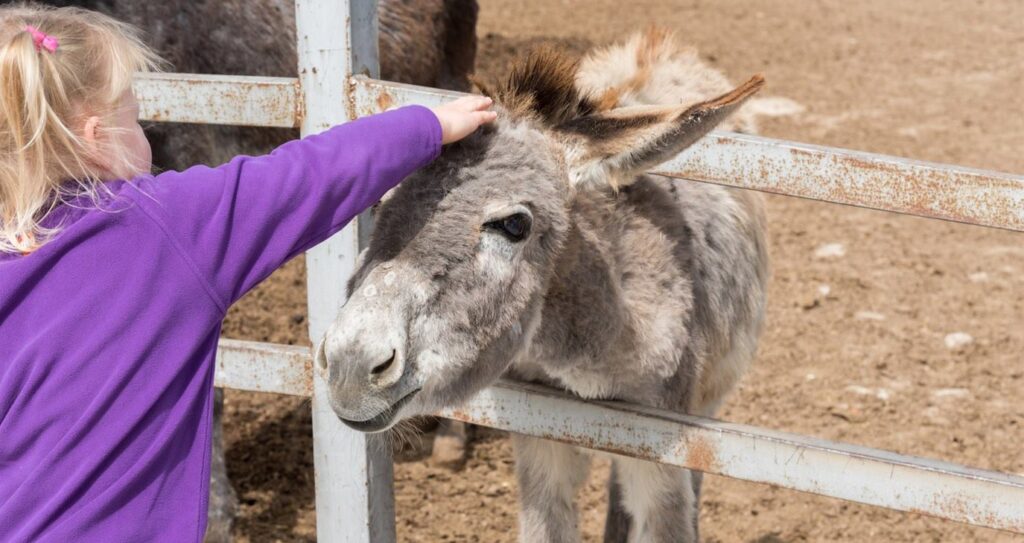 25&eta; &Mu;&alpha;&rho;&tau;ί&omicron;&upsilon; &sigma;&tau;&eta; &Phi;ύ&sigma;&eta;: &Gamma;&iota;&omicron;&rho;&tau;&iota;&nu;ό &Tau;&rho