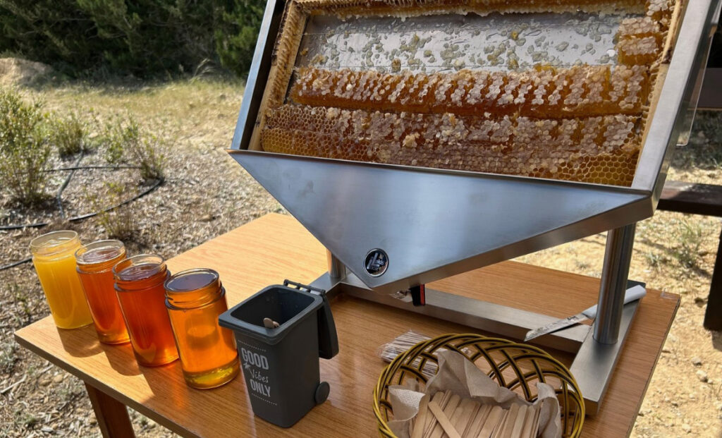 Έ&nu;&alpha; &ldquo;&gamma;&lambda;&upsilon;&kappa;ό&rdquo; &tau;&alpha;&xi;ί&delta;&iota; &sigma;&tau;&eta; &phi;ύ&sigma;&eta;: &Alpha;&nu;&alpha;&kappa;ά&lambda;&upsilon;&psi;&epsilon; &tau;&omicron; Antelia Bee Park &sigma;&tau;&eta;&nu; &Kappa;ύ&pi;&rho;&omicron;