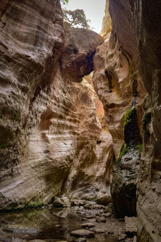 &laquo;&Phi;&Alpha;&Rho;&Alpha;&Gamma;&Gamma;&Iota; &Tau;&Omicron;&Upsilon; &Alpha;&Beta;&Alpha;&Kappa;&Alpha;&raquo;: &Pi;&alpha;&rho;έ&epsilon;&sigmaf; &pi;&epsilon;&rho;&iota;&eta;&gamma;&eta;&tau;ώ&nu; &alpha;&gamma;&nu;&omicron;&omicron;ύ&nu; &tau;&iota;&sigmaf; &alpha;&pi;&alpha;&gamma;&omicron;&rho;&epsilon;ύ&sigma;&epsilon;&iota;&sigmaf; &kappa;&alpha;&iota; &epsilon;&iota;&sigma;έ&rho;&chi;&omicron;&nu;&tau;&alpha;&iota; &pi;&alpha;&rho;ά&nu;&omicron;&mu;&alpha;