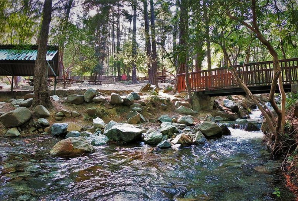 &Kappa;&alpha;&tau;&alpha;&rho;&rho;ά&kappa;&tau;&eta;&sigmaf; &Kappa;&alpha;&lambda;&eta;&delta;&omicron;&nu;ί&alpha;&sigmaf; &sigma;&tau;&iota;&sigmaf; &Pi;&lambda;ά&tau;&rho;&epsilon;&sigmaf;: Έ&nu;&alpha; &sigma;&kappa;&omega;&tau;&sigma;έ&zeta;&iota;&kappa;&omicron; ό&nu;&omicron;&mu;&alpha; &sigma;&tau;&eta;&nu; &kappa;&alpha;&rho;&delta;&iota;ά &tau;&eta;&sigmaf; &Kappa;ύ&pi;&rho;&omicron;&upsilon;