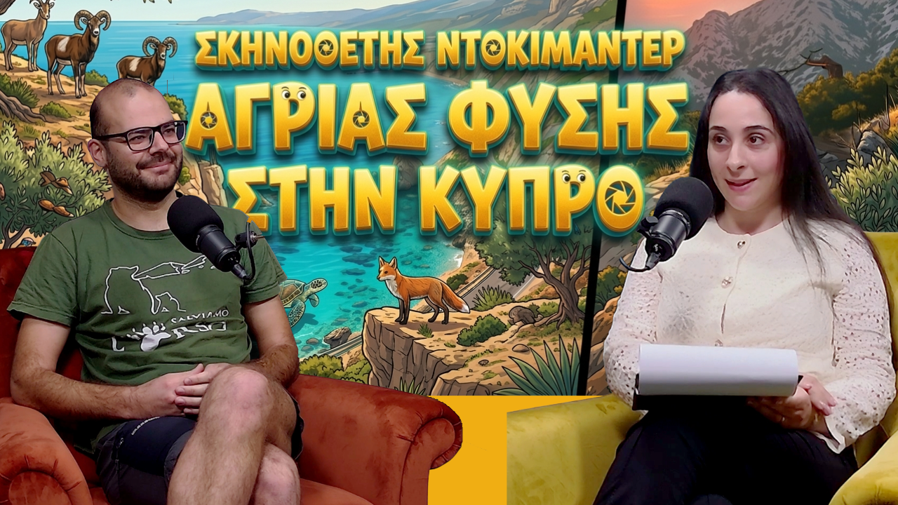 ΧΡΩΜΑΤΑ ΖΩΗΣ | Πίσω από τον φακό του Κωνσταντίνου Χρίστου, σκηνοθέτη ντοκιμαντέρ άγριας φύσης 🖇️ ΧΡΩΜΑΤΑ ΖΩΗΣ | Πίσω από τον φακό του Κωνσταντίνου Χρίστου, σκηνοθέτη ντοκιμαντέρ άγριας φύσης 🖇️