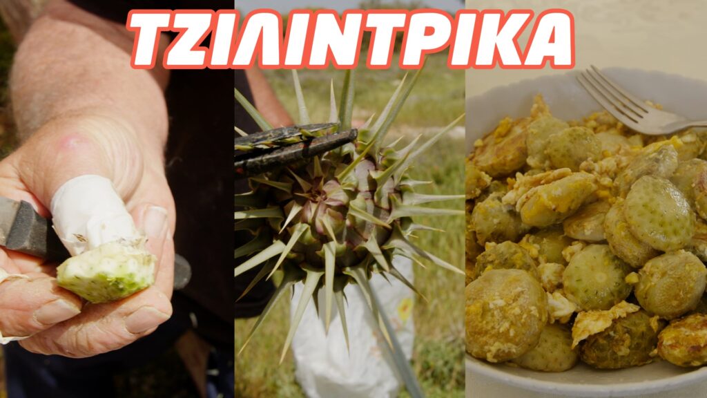 Ά&gamma;&rho;&iota;&omicron;&sigmaf; &theta;&eta;&sigma;&alpha;&upsilon;&rho;ό&sigmaf; &tau;&eta;&sigmaf; &gamma;&eta;&sigmaf;: &Tau;&zeta;&iota;&lambda;ί&nu;&tau;&rho;&iota;&kappa;&alpha; &ndash; &Alpha;&pi;ό &tau;&alpha; &chi;&omega;&rho;ά&phi;&iota;&alpha; &sigma;&tau;&omicron; &pi;&iota;ά&tau;&omicron; &mu;&alpha;&sigmaf; &mu;&epsilon; ά&rho;&omega;&mu;&alpha; &phi;ύ&sigma;&eta;&sigmaf;!