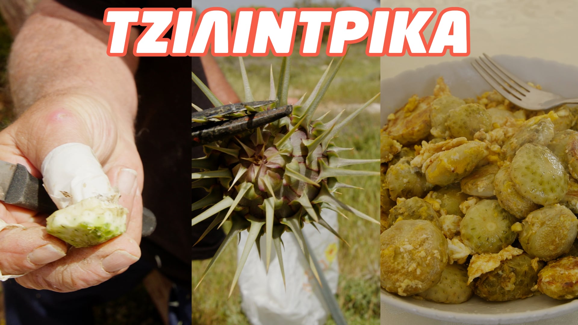 🌿Άγριος θησαυρός της γης: Τζιλίντρικα – Από τα χωράφια στο πιάτο μας με άρωμα φύσης! 🌿Άγριος θησαυρός της γης: Τζιλίντρικα – Από τα χωράφια στο πιάτο μας με άρωμα φύσης!