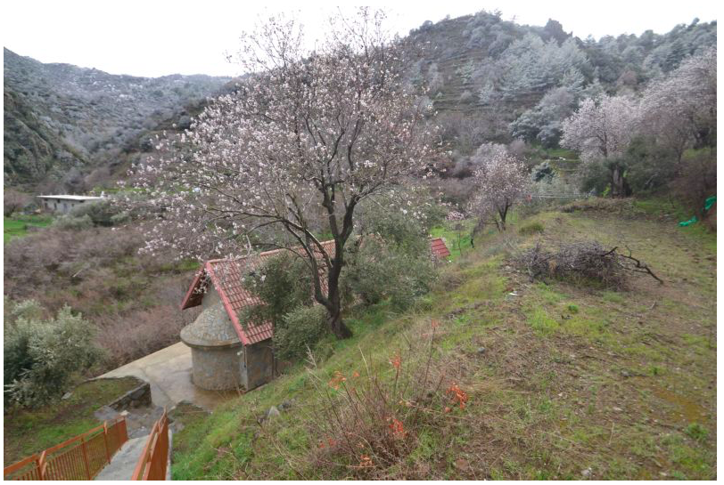 &Pi;&alpha;&nu;&alpha;&gamma;ί&alpha; &Chi;&rho;&upsilon;&sigma;&omicron;&gamma;&alpha;&lambda;&omicron;ύ&sigma;&alpha;: &Tau;&omicron; &epsilon;&kappa;&kappa;&lambda;&eta;&sigma;ά&kappa;&iota; &pi;&omicron;&upsilon; &kappa;&omicron;&upsilon;&beta;&alpha;&lambda;ά &mu;&iota;&alpha; &chi;&alpha;&mu;έ&nu;&eta; &iota;&sigma;&tau;&omicron;&rho;ί&alpha; &mu;έ&sigma;&alpha; &sigma;&tau;&omicron; &delta;ά&sigma;&omicron;&sigmaf;