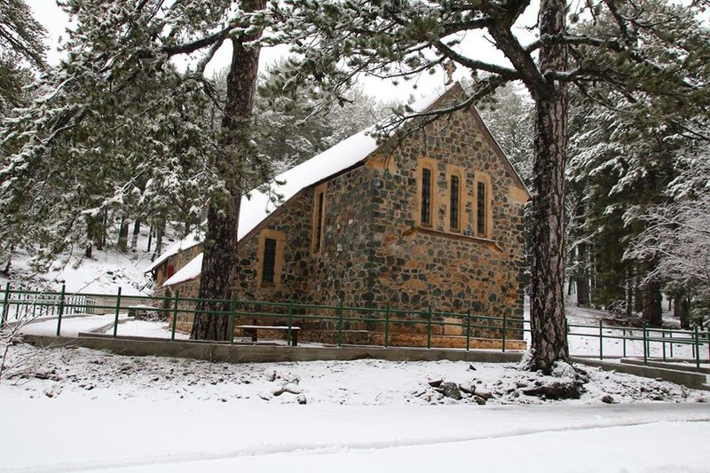 Ά&gamma;&iota;&omicron;&sigmaf; &Gamma;&epsilon;ώ&rho;&gamma;&iota;&omicron;&sigmaf; &tau;&omicron;&upsilon; &Delta;ά&sigma;&omicron;&upsilon;&sigmaf;: &Eta; &alpha;&gamma;&gamma;&lambda;&iota;&kappa;ή &pi;&iota;&nu;&epsilon;&lambda;&iota;ά &sigma;&tau;&eta;&nu; &kappa;&alpha;&rho;&delta;&iota;ά &tau;&omicron;&upsilon; &Tau;&rho;&omicron;ό&delta;&omicron;&upsilon;&sigmaf;
