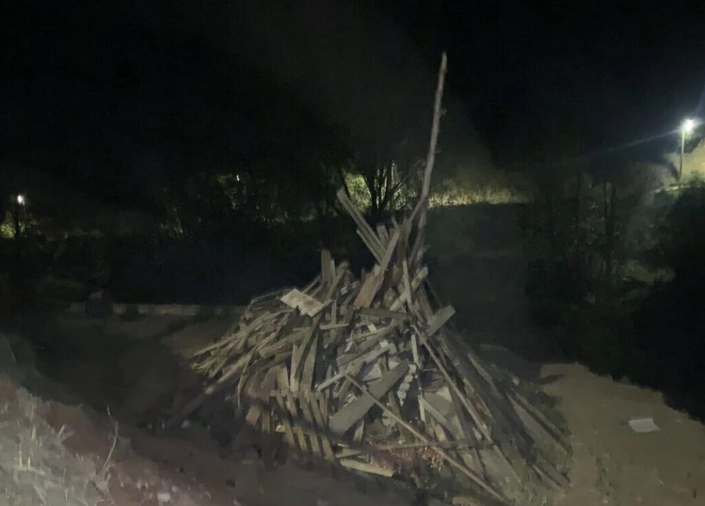 &Kappa;&omicron;&pi;ή &delta;έ&nu;&tau;&rho;&omega;&nu; &gamma;&iota;&alpha; &lambda;&alpha;&mu;&pi;&rho;&alpha;&tau;&zeta;&iota;έ&sigmaf;: Έ&nu;&alpha; έ&theta;&iota;&mu;&omicron; &pi;&omicron;&upsilon; &kappa;&omicron;&sigma;&tau;ί&zeta;&epsilon;&iota; &alpha;&kappa;&rho;&iota;&beta;ά &sigma;&tau;&eta; &phi;ύ&sigma;&eta;