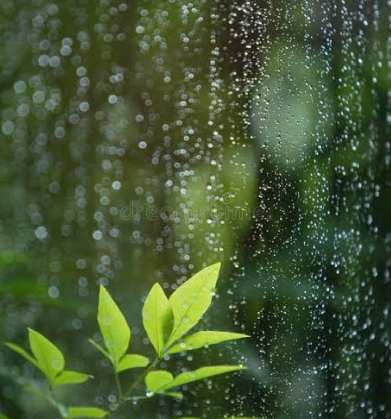 &Pi;&epsilon;&rho;&iota;&sigma;&sigma;ό&tau;&epsilon;&rho;&epsilon;&sigmaf; &beta;&rho;&omicron;&chi;έ&sigmaf; &alpha;&pi;ό &tau;&omicron; &kappa;&alpha;&nu;&omicron;&nu;&iota;&kappa;ό &tau;&omicron;&nu; &Mu;ά&rho;&tau;&iota;&omicron; &sigma;&tau;&eta;&nu; &Kappa;ύ&pi;&rho;&omicron;