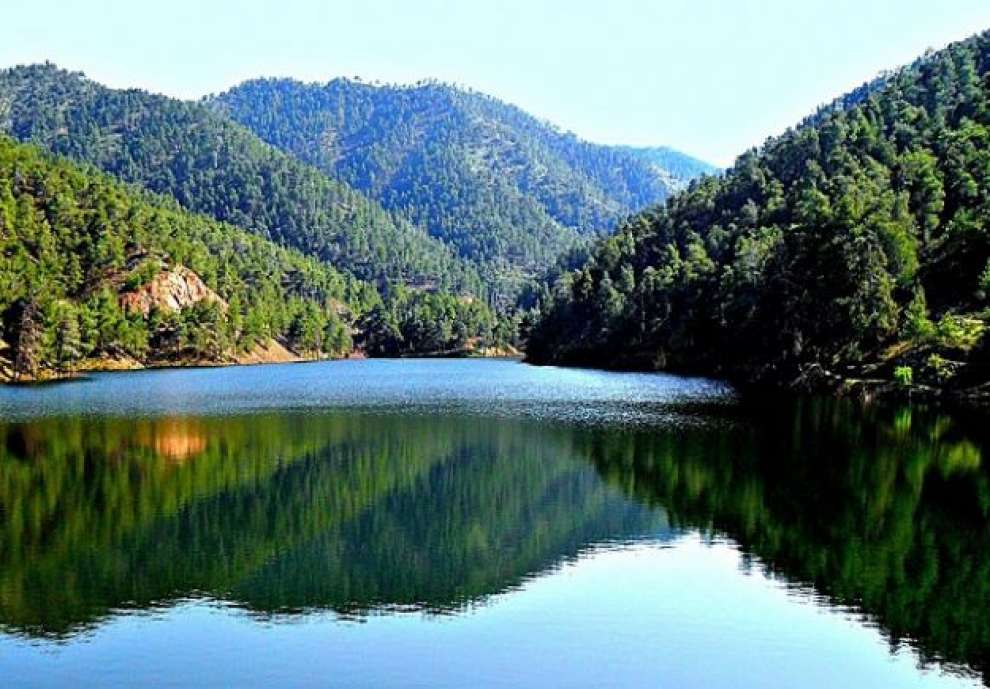 &Phi;&rho;ά&kappa;&tau;&eta;&sigmaf; &Xi;&upsilon;&lambda;&iota;ά&tau;&omicron;&upsilon;: &Eta; &pi;&iota;&omicron; &epsilon;ύ&kappa;&omicron;&lambda;&eta; &alpha;&pi;ό&delta;&rho;&alpha;&sigma;&eta; &sigma;&tau;&eta; &phi;ύ&sigma;&eta; &kappa;&omicron;&nu;&tau;ά &sigma;&tau;&eta; &Lambda;&epsilon;&upsilon;&kappa;&omega;&sigma;ί&alpha;