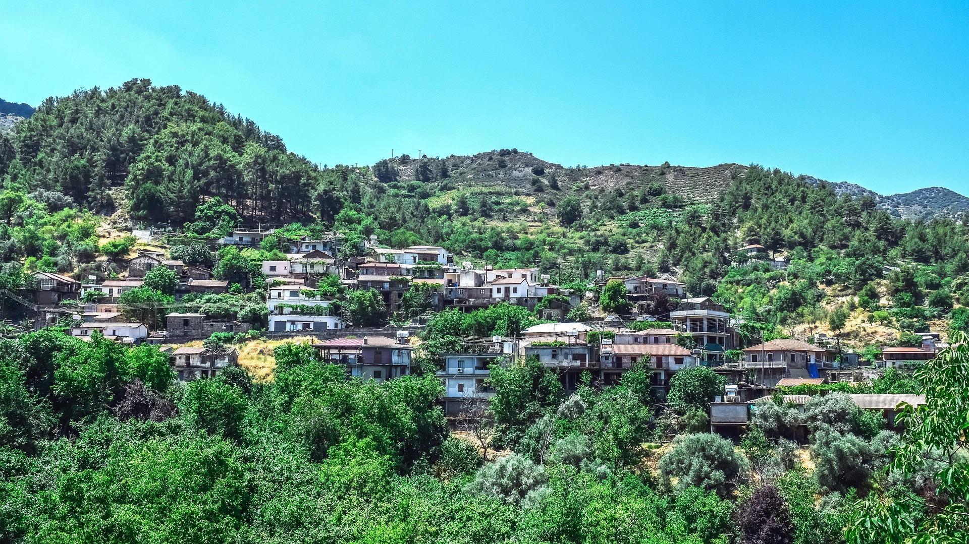 Τι; Δεν το ήξερες; Η Πλατανιστάσα μας καλεί στη πιο… κερασένια βραδιά του καλοκαιριού! Τι; Δεν το ήξερες; Η Πλατανιστάσα μας καλεί στη πιο… κερασένια βραδιά του καλοκαιριού!