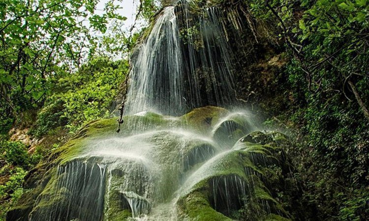 &Eta; &Kappa;ύ&pi;&rho;&omicron;&sigmaf; &gamma;&iota;&omicron;&rho;&tau;ά&zeta;&epsilon;&iota; &tau;&eta;&nu; &Epsilon;&upsilon;&rho;&omega;&pi;&alpha;ϊ&kappa;ή &Eta;&mu;έ&rho;&alpha; Natura 2000 &mu;&epsilon; &delta;&rho;ά&sigma;&epsilon;&iota;&sigmaf; &sigma;&epsilon; &Alpha;&kappa;ά&mu;&alpha; &kappa;&alpha;&iota; &Kappa;&rho;ή&tau;&omicron;&upsilon; &Tau;έ&rho;&alpha;