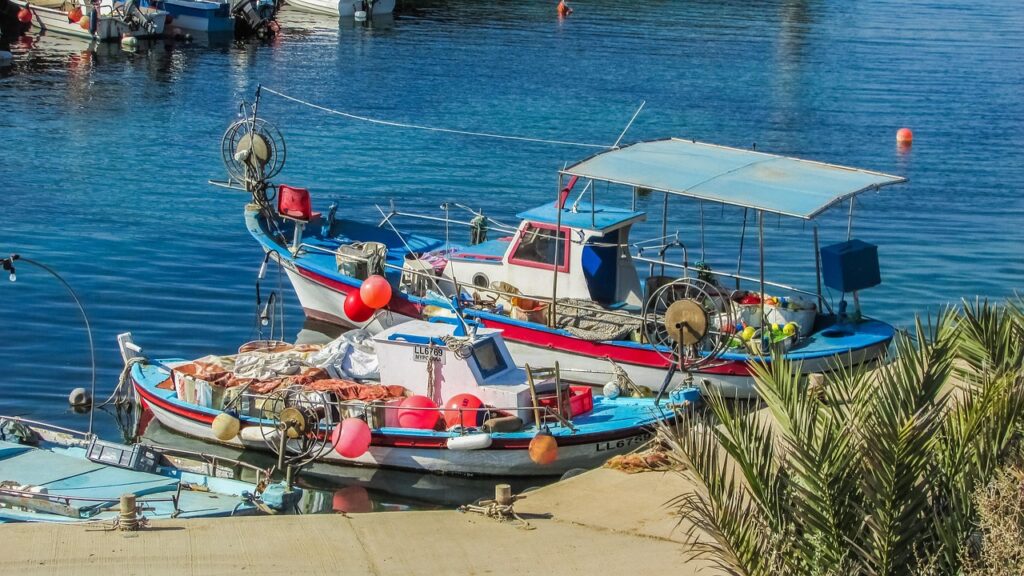 &Xi;&upsilon;&lambda;&omicron;&phi;ά&gamma;&omicron;&upsilon;: &Eta; &theta;ά&lambda;&alpha;&sigma;&sigma;&alpha; &gamma;&iota;&omicron;&rho;&tau;ά&zeta;&epsilon;&iota; &tau;&omicron;&nu; &psi;&alpha;&rho;ά &sigma;&tau;&omicron; &Phi;&epsilon;&sigma;&tau;&iota;&beta;ά&lambda; &Psi;&alpha;&rho;&iota;&omicron;ύ 2026