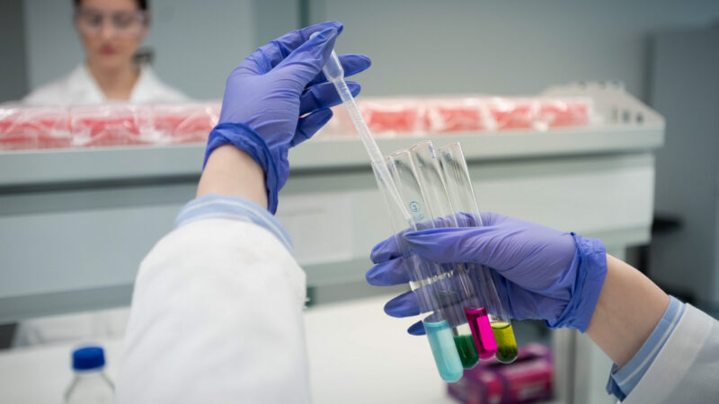 &Tau;&omicron; &alpha;&gamma;&gamma;&lambda;ό&phi;&omega;&nu;&omicron; &pi;&rho;ό&gamma;&rho;&alpha;&mu;&mu;&alpha; MPharm &tau;&omicron;&upsilon; &Pi;&alpha;&nu;&epsilon;&pi;&iota;&sigma;&tau;&eta;&mu;ί&omicron;&upsilon; &Lambda;&epsilon;&upsilon;&kappa;&omega;&sigma;ί&alpha;&sigmaf; &upsilon;&pi;&omicron;&delta;έ&chi;&epsilon;&tau;&alpha;&iota; &phi;&omicron;&iota;&tau;&eta;&tau;έ&sigmaf; &gamma;&iota;&alpha; &tau;&omicron; &nu;έ&omicron; &alpha;&kappa;&alpha;&delta;&eta;&mu;&alpha;ϊ&kappa;ό έ&tau;&omicron;&sigmaf; 2026-2027
