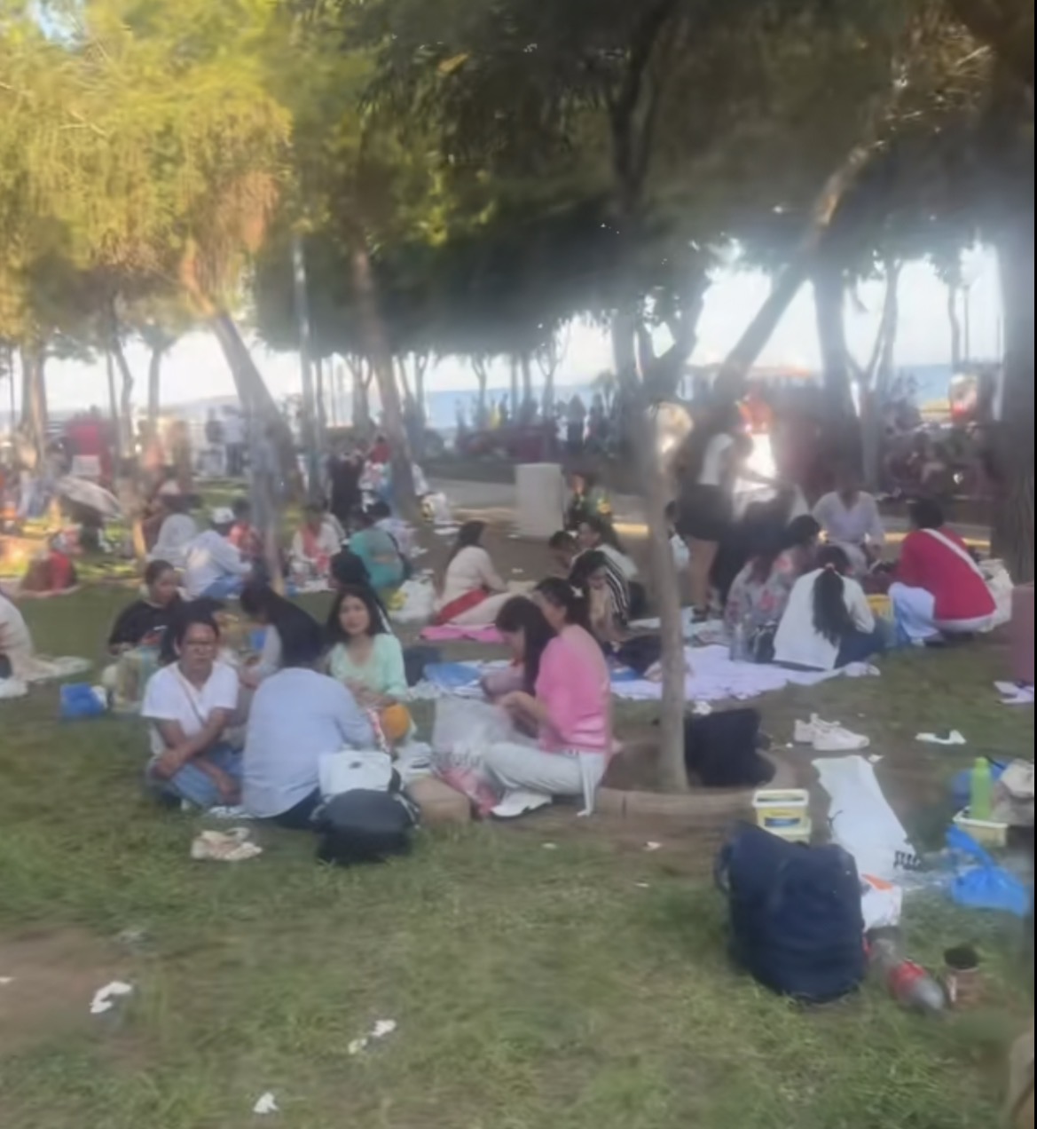 «Μόλος Λεμεσού ή… Ινδία;» – Viral βίντεο προκαλεί θύελλα αντιδράσεων για την εικόνα με τα σκουπίδια «Μόλος Λεμεσού ή… Ινδία;» – Viral βίντεο προκαλεί θύελλα αντιδράσεων για την εικόνα με τα σκουπίδια