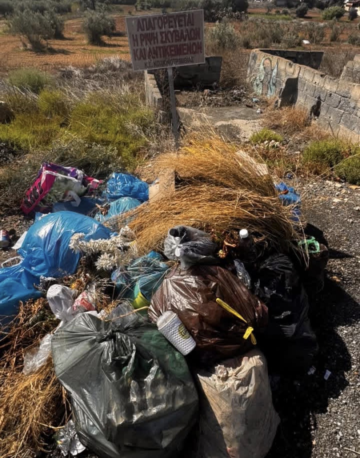 Σκουπίδια έξω από το κοιμητήριο Κοκκινοτριμιθιάς – Έκκληση για καθαρισμό και τοποθέτηση κάδου Σκουπίδια έξω από το κοιμητήριο Κοκκινοτριμιθιάς – Έκκληση για καθαρισμό και τοποθέτηση κάδου